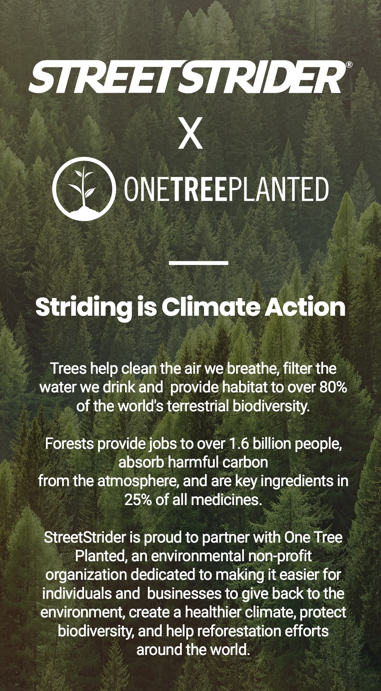 Entry‑Level StreetStrider 3i With 3‑Speed Steel Frame